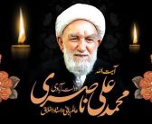 حجت‌الاسلام والمسلمین سید احمد رضا شاهرخی، نماینده ولی‌فقیه در استان لرستان در پیامی ارتحال آیت… ناصری دولت آبادی را تسلیت گفت.