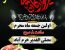 برگزاری همایش بزرگ شیرخوارگان حسـینــی